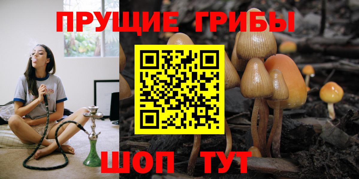 Псилоцибиновые грибы мухоморы  наркотики  Вход с VPN  Среднеуральск  Галлюциногенные грибы мухоморы 